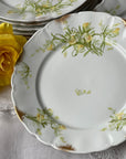 Prato Raso Limoges