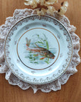 Prato Raso Limoges Peixes