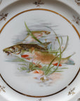 Prato Raso Limoges Peixes