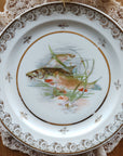 Prato Raso Limoges Peixes