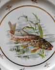Prato Raso Limoges Peixes