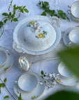 Sopeira Meissen