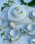 Sopeira Meissen