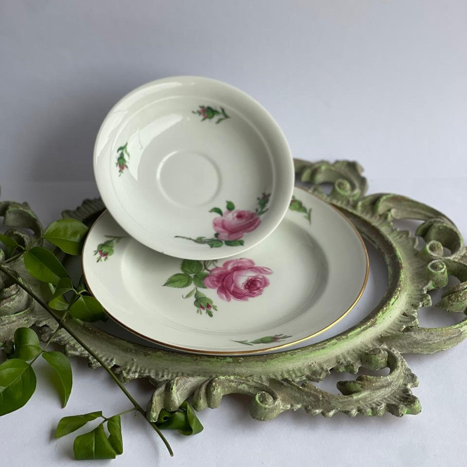 Molheira Meissen