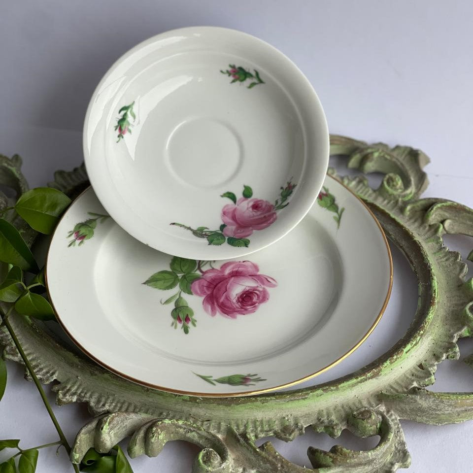 Molheira Meissen