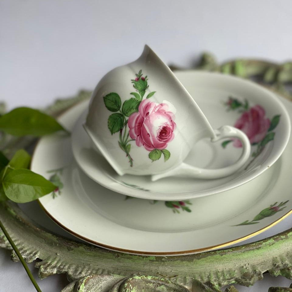 Molheira Meissen