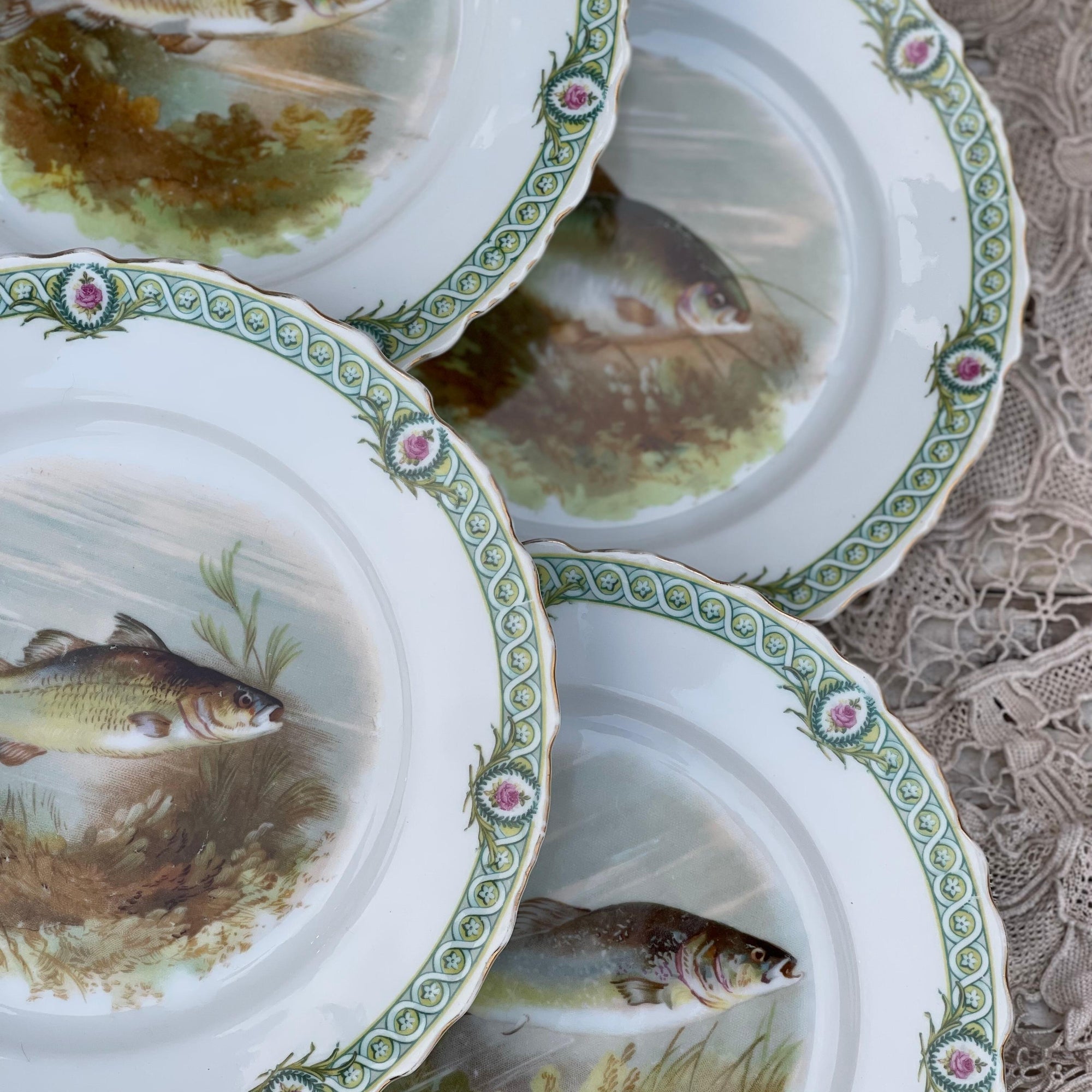 Prato Raso Peixe