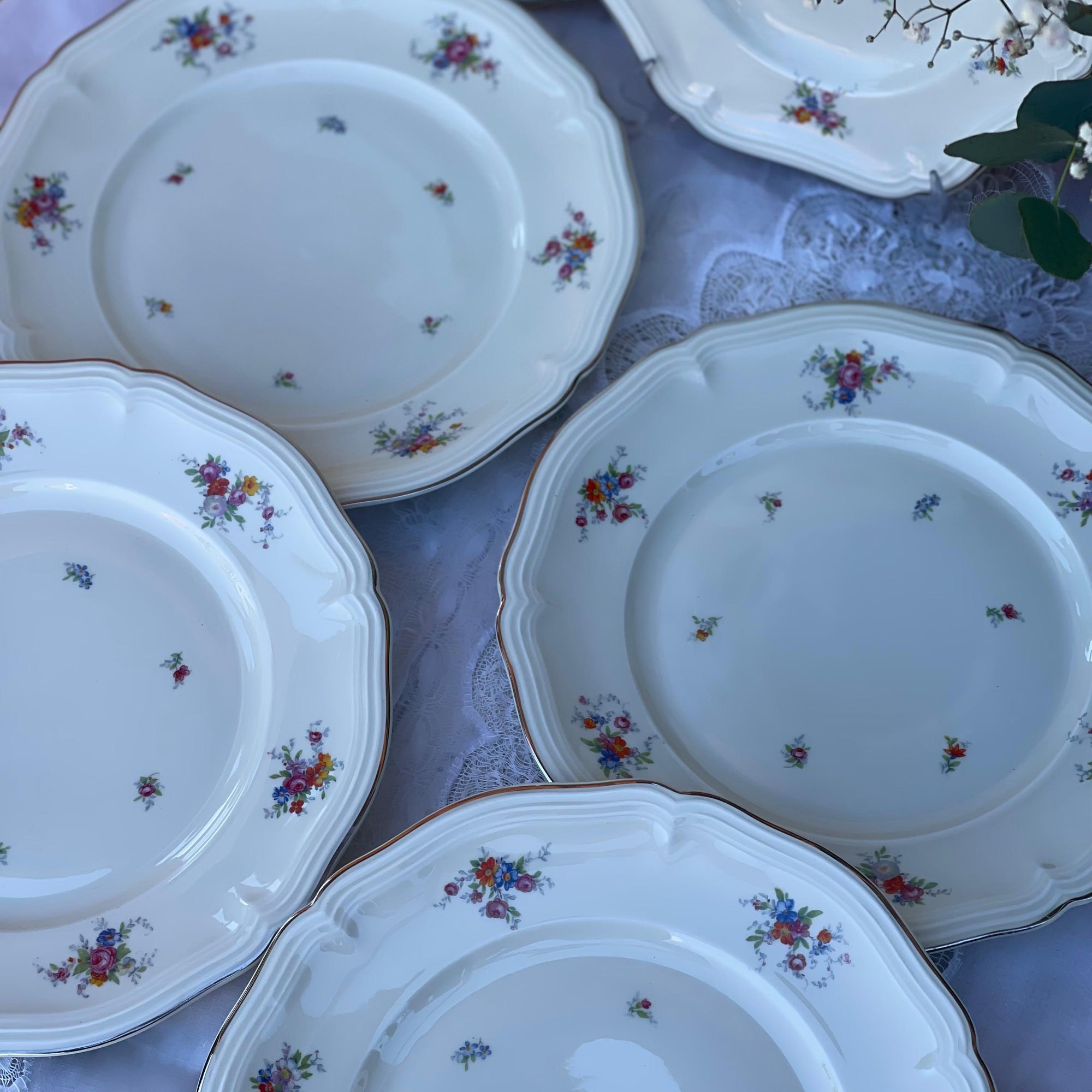 Prato Raso Rosenthal