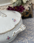 Terrina Vista Alegre