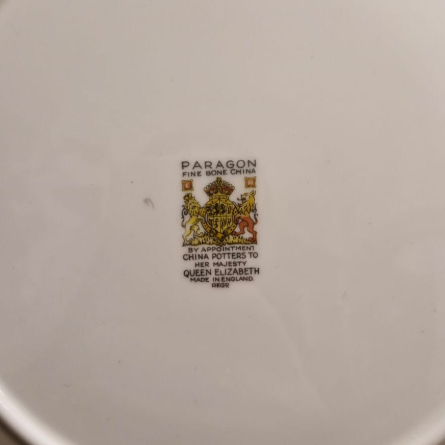 Prato Raso Paragon