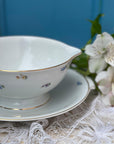 Molheira Rosenthal