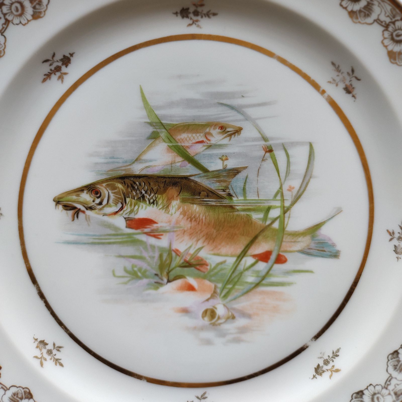 Prato Raso Limoges Peixes