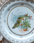 Prato Raso Limoges Peixes